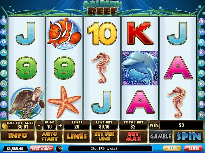 dolphin reef slot