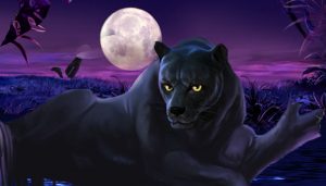 Panther Moon Slot Review [cur_year] - RTP, Bonus Rounds, Paylines